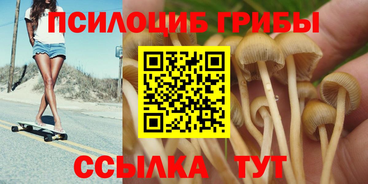 Свободный  Галлюциногенные грибы ЛСД  Галлюциногенные грибы MAGIC MUSHROOMS  Вход с VPN 